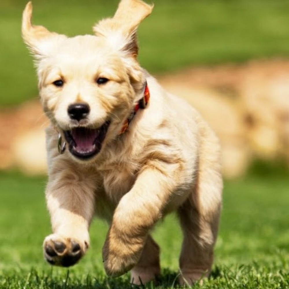 Meet your Posher, Erik